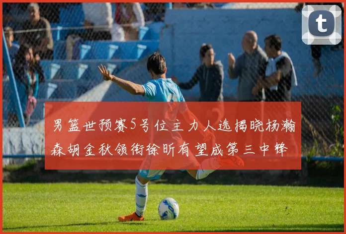 男篮世预赛5号位主力人选揭晓杨瀚森胡金秋领衔徐昕有望成第三中锋